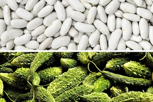 Amyl Guard belly fat problem and amylase enzyme