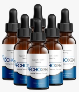EchoXen Review — Personal Testing Experience