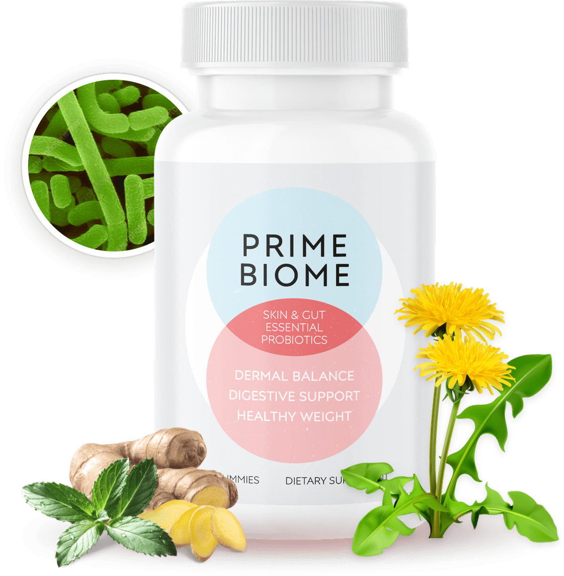 PrimeBiome Review – probiotic gummy supplement bottle