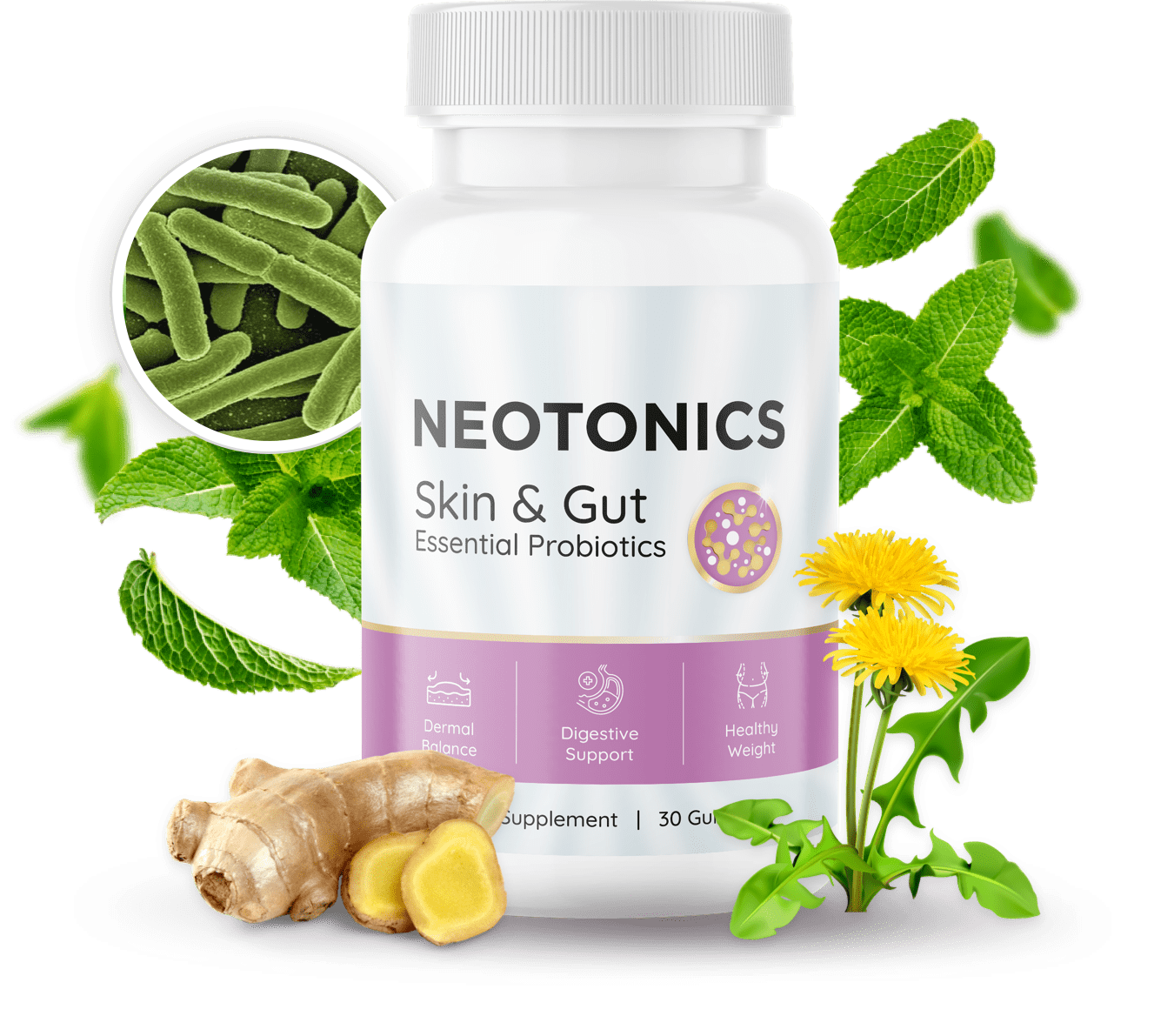 Neotonics Review bottle and gummies on display