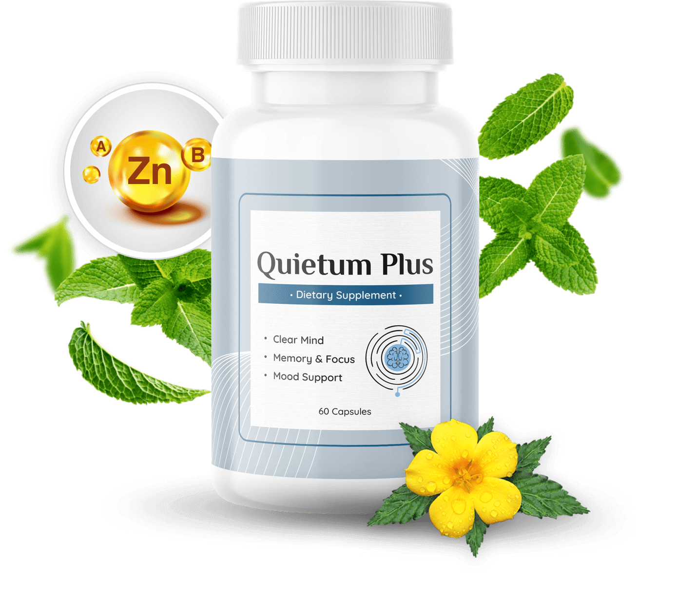 Quietum Plus Review 2026 — official product bottles