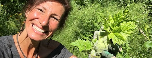 Medicinal Garden Kit Review – seed packets and herbal remedies guide