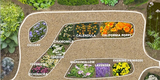 Medicinal Garden Kit Review – growing herbs at home for natural remedies