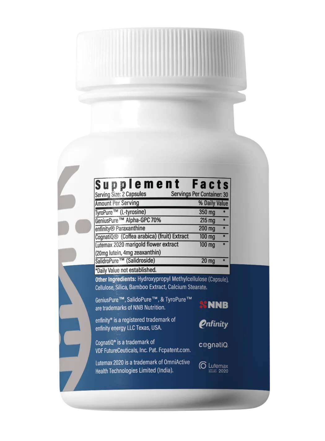 BrainAMP Review – ingredient formula and nootropic stack breakdown