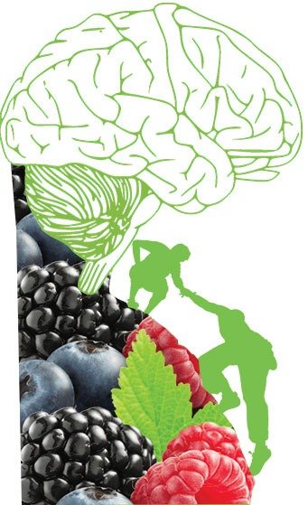 NeuroActiv6 ingredients — ashwagandha and turmeric botanicals