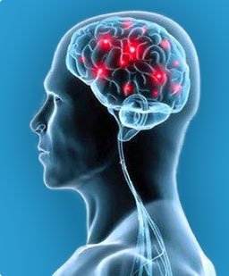 NeuroActiv6 Review — mixing powder in water glass