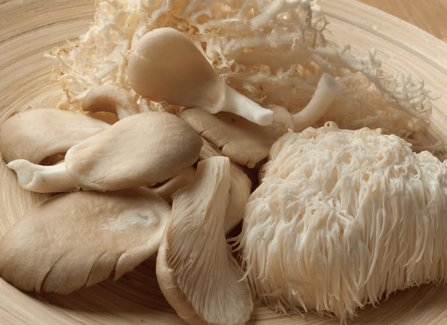 Lion's Mane mushroom in Menovelle formula for hormonal balance