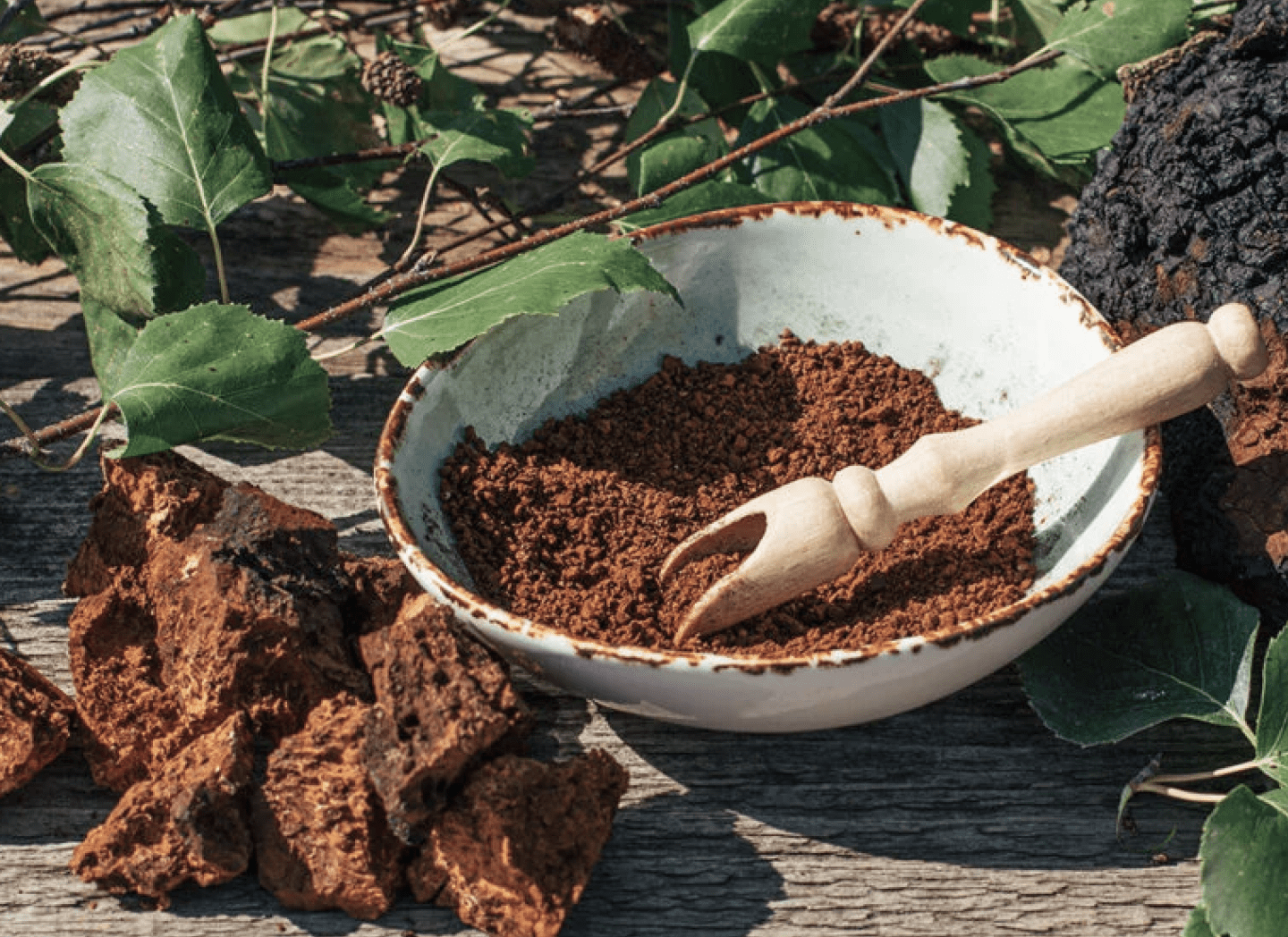 Menovelle ingredients list - natural mushroom complex for menopause
